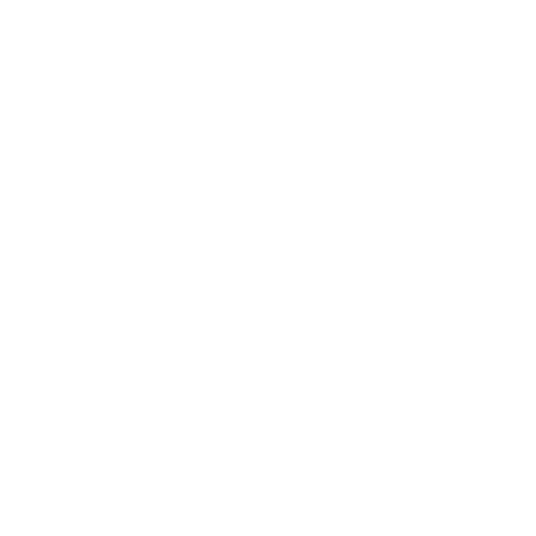 GEO承诺